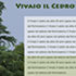 Web Site - Vivaio il Cedro